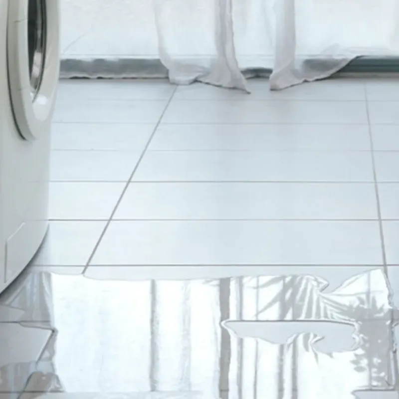 Appliance Leak Cleanup in West Valley, WA